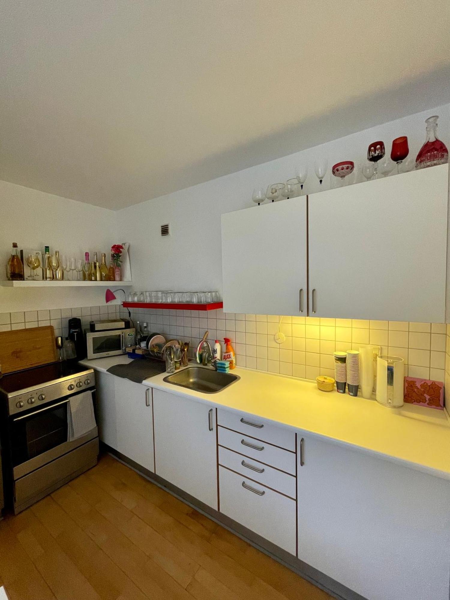 Appartement Med Udsigt Til Frederiksberg Have Kopenhagen